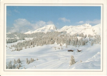 Majestueux hiver - F 1995 95 001 ●